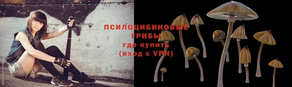 каннабис Абаза
