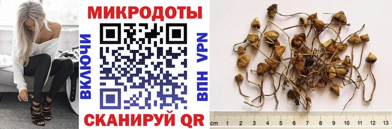 продажа наркотиков  Каргополь  Псилоцибиновые грибы Magic Shrooms 