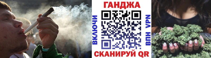 купить закладку  Каргополь  Марихуана семена 
